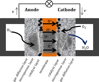 cathode