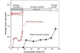 Damage Analysis in Hydrogen embrittlement