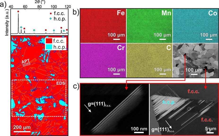 Fig. 1:  (a) XRD and EBSD patterns reveal that the structure consists of f.c.c. and h.c.p. phases (DP structure). (b) EDS maps and BSE images from the region marked in (a) show the uniform distributions of all elements at the grain-scale. (c) ECCI analysis shows stacking faults and h.c.p. phase within the f.c.c. matrix. Three-dimensional APT tip reconstructions taken from the region marked in (a) are given in Supplementary Fig. S1.