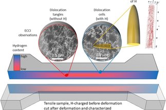 Investigation of hydrogen embrittlement in high Mn steels using multiscale approach