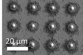 Strain rate, size and defect density interdependence on the deformation of 3D printed microparticles