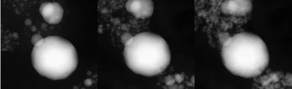 Snapshots of dealloying of PtCu3 nanoparticles in 0.1 M HClO4 and subsequent copper beam induced redeposition. Big particle is 200 nm in diameter Snapshots of dealloying of PtCu3 nanoparticles in 0.1 M HClO4 and subsequent copper beam induced redeposition. Big particle is 200 nm in diameter