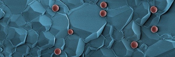 Copyright Max-Planck-Institut für Eisenforschung GmbH Copyright Max-Planck-Institut für Eisenforschung GmbH