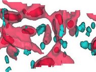 Cluster-hardening alloys by intrinsic heat treatment