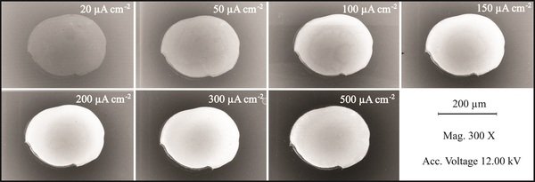 Electrochemical texturing of Al-doped ZnO