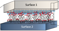 Our research focuses on the broad areas of adhesion and friction as well as the interfacial forces and their utilization for designing better energy-saving, energy-efficient and long-lasting smart materials for applications in structural and functional materials. In particular we are also interested in dynamic interaction forces and soft matter physics in confined spaces.