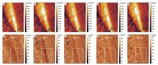 Mapping Hydrogen in TWIP Steels