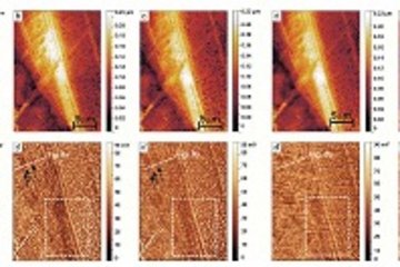 Mapping Hydrogen in TWIP Steels