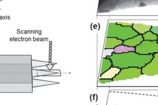 Atomic-Scale Quantification of Grain Boundary Segregation in Nanocrystalline Steel