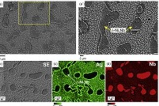 Study of hydrogen embrittlement by using multi-scale and spatially resolved hydrogen mapping in a Ni-Nb model alloy and in alloy 718
