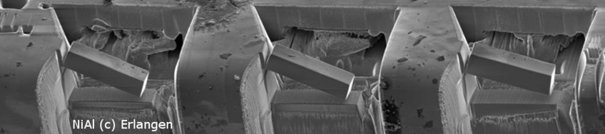 Invited Speakers Invited Speakers