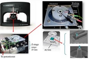 Hydrogen embrittlement of steels: environment-assisted in-situ micro-mechanical tests