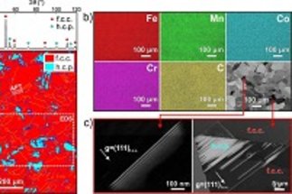 Interstitial high-entropy alloys: Interstitial atoms enable joint twinning and transformation induced plasticity in strong and ductile high-entropy alloys