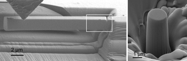 Designing Damage Tolerant Functional Oxide Nanostructures