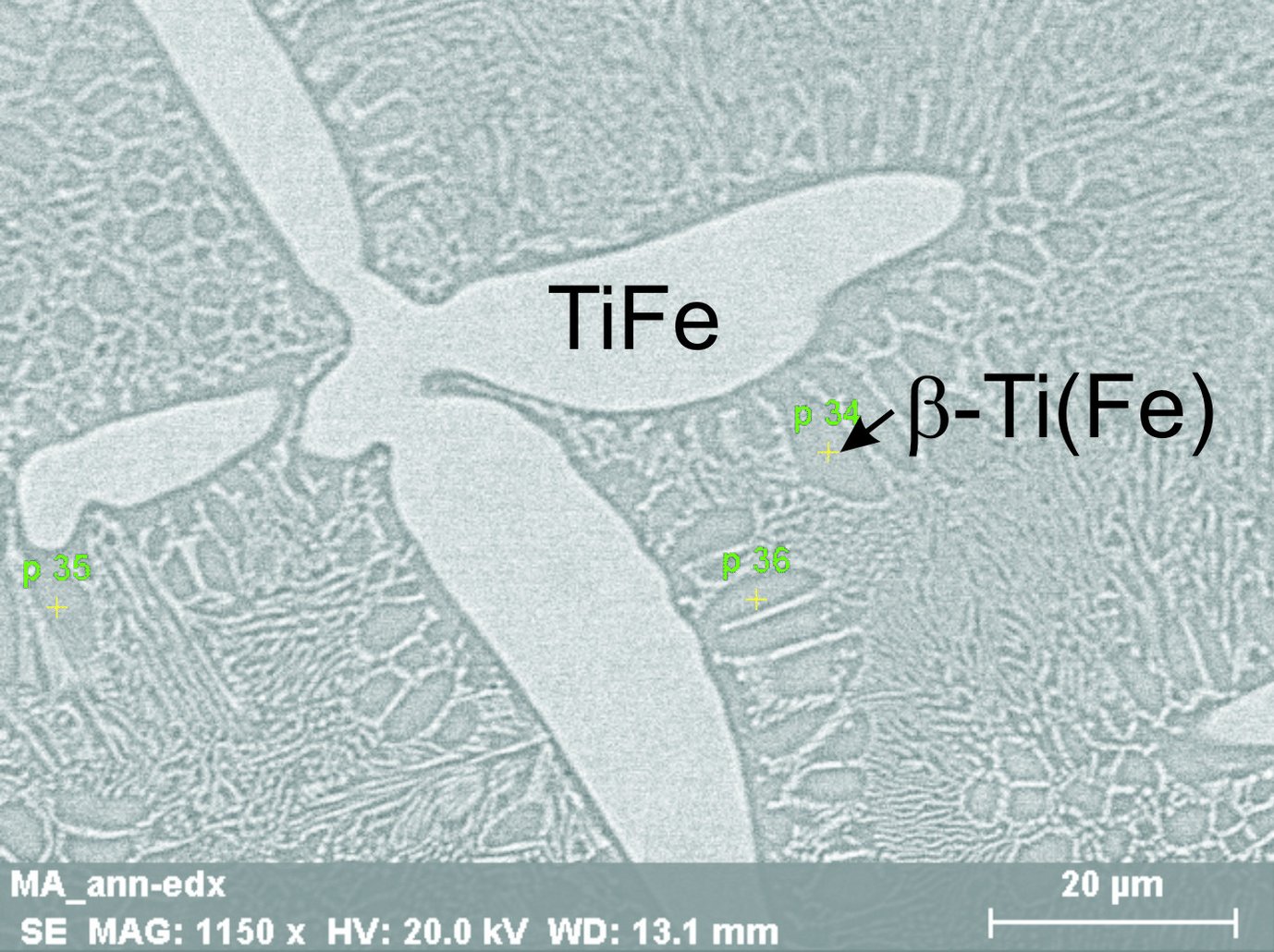 An example of the microstructure of the dual-phase Fe-Ti eutectic samples consisting of FeTi-B2 grains (light gray) within a β-Ti(Fe) matrix (dark gray).