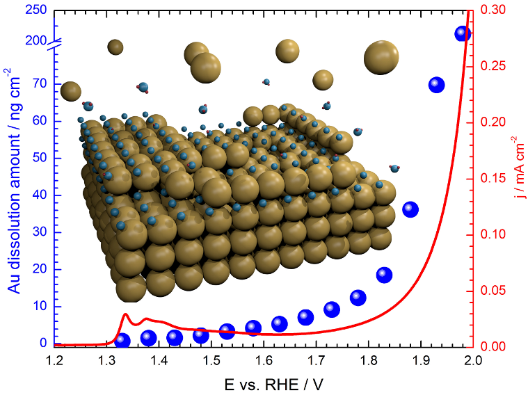 Dependence of the amount of dissolved gold on the applied potential (integrated over 300 s). The graph also shows a fragment of the positive direction of a cyclic voltammogram taken with 10 mV s− 1. A correlation between gold oxidation, gold dissolution and oxygen evolution is clearly seen.