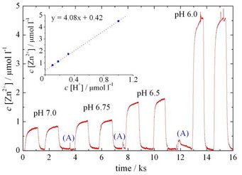 Downstream analysis of zinc ions Downstream analysis of zinc ions