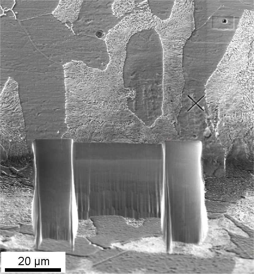 Fig. 2: Microstructure of the investigated pearlitic steel sample after milling. The cross on the right side of the milled area is the alignment marker. The two deeper milled areas left and right have been milled with a coarse beam to avoid shadowing of the EBSD camera.