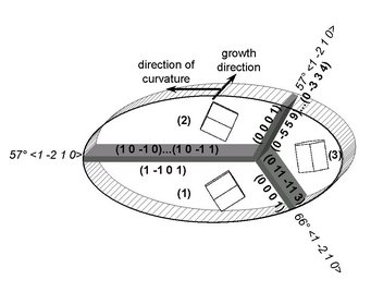 Fig. 6: Schematical picture of the twin triples frequently observed in NiCo deposits as deter-mined by 3D EBSD. The measurements allow the determination of the crystal orientations, misorientations, and the crystallographic indices of all grain boundaries. Crystals (1) and (2) form a coherent 57° compression-type twin. Crystal (3) is in a non-coherent twin relation to crystal (2) but it has no special relationship with (1). Note the occurrence of basal planes as boundary planes between (2) and (3) and (1) and (3). Fig. 6: Schematical picture of the twin triples frequently observed in NiCo deposits as deter-mined by 3D EBSD. The measurements allow the determination of the crystal orientations, misorientations, and the crystallographic indices of all grain boundaries. Crystals (1) and (2) form a coherent 57° compression-type twin. Crystal (3) is in a non-coherent twin relation to crystal (2) but it has no special relationship with (1). Note the occurrence of basal planes as boundary planes between (2) and (3) and (1) and (3).