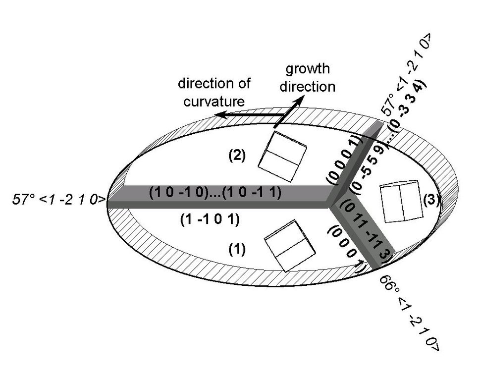 Fig. 6: Schematical picture of the twin triples frequently observed in NiCo deposits as deter-mined by 3D EBSD. The measurements allow the determination of the crystal orientations, misorientations, and the crystallographic indices of all grain boundaries. Crystals (1) and (2) form a coherent 57° compression-type twin. Crystal (3) is in a non-coherent twin relation to crystal (2) but it has no special relationship with (1). Note the occurrence of basal planes as boundary planes between (2) and (3) and (1) and (3).