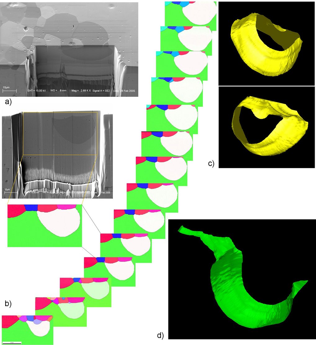 Fig. 9: Microstructure observed during FIB sectioning of the Goss grain structure under observation. b) Number of sequential EBSD maps which were used for the full 3D EBSD reconstruction of the interfaces between the large Goss grain and a small neighbor crystal with large curvature. c) Shape of the small grain which abuts the much larger Goss crystal. d) Corresponding interface of the Goss grain. Fig. 9: Microstructure observed during FIB sectioning of the Goss grain structure under observation. b) Number of sequential EBSD maps which were used for the full 3D EBSD reconstruction of the interfaces between the large Goss grain and a small neighbor crystal with large curvature. c) Shape of the small grain which abuts the much larger Goss crystal. d) Corresponding interface of the Goss grain.