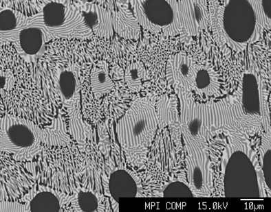 Microstructure of an as-cast, three-phase Al-Fe-Nb alloy consisting of primary NbAl3 surrounded by a two-phase eutectic Nb2Al + Nb(Fe,Al)2 Laves phase and a three-phase eutectic matrix NbAl3 + Nb2Al + Nb(Fe,Al)2. Microstructure of an as-cast, three-phase Al-Fe-Nb alloy consisting of primary NbAl3 surrounded by a two-phase eutectic Nb2Al + Nb(Fe,Al)2 Laves phase and a three-phase eutectic matrix NbAl3 + Nb2Al + Nb(Fe,Al)2.