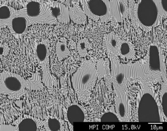 Microstructure of an as-cast, three-phase Al-Fe-Nb alloy consisting of primary NbAl3 surrounded by a two-phase eutectic Nb2Al + Nb(Fe,Al)2 Laves phase and a three-phase eutectic matrix NbAl3 + Nb2Al + Nb(Fe,Al)2. Microstructure of an as-cast, three-phase Al-Fe-Nb alloy consisting of primary NbAl3 surrounded by a two-phase eutectic Nb2Al + Nb(Fe,Al)2 Laves phase and a three-phase eutectic matrix NbAl3 + Nb2Al + Nb(Fe,Al)2.