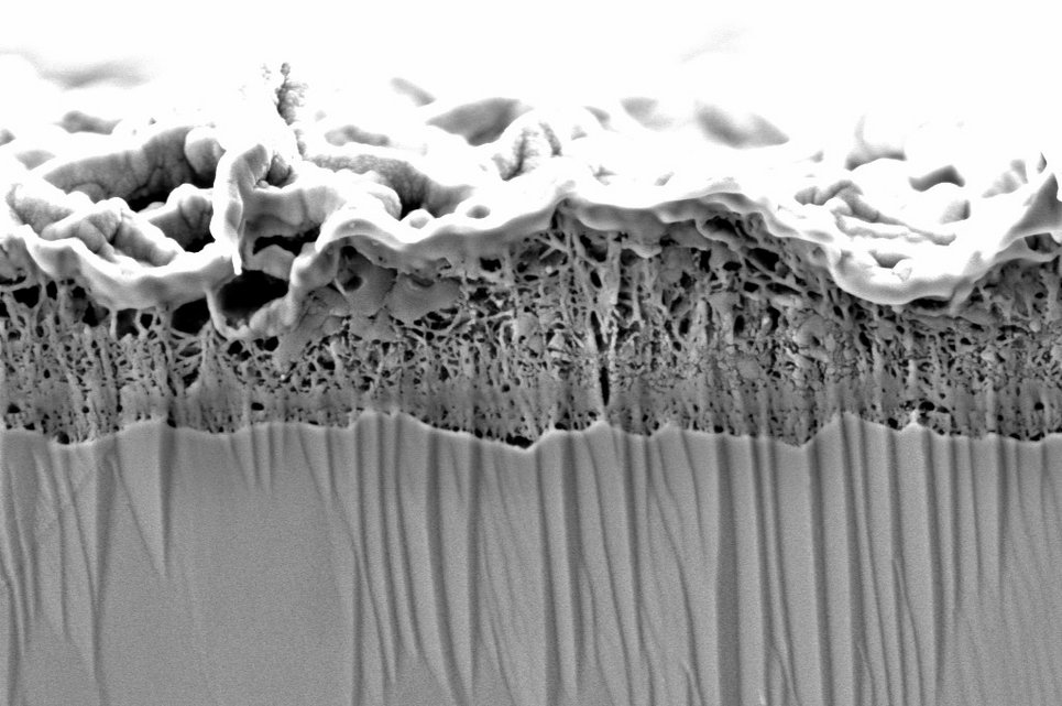 © Max-Planck-Institut für Eisenforschung