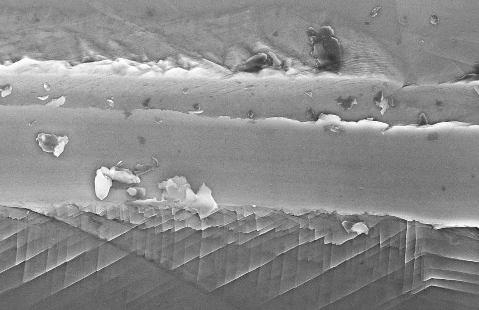 Wear track in austenitic stainless steel and plasticity evolution depending on the crystal orientation
