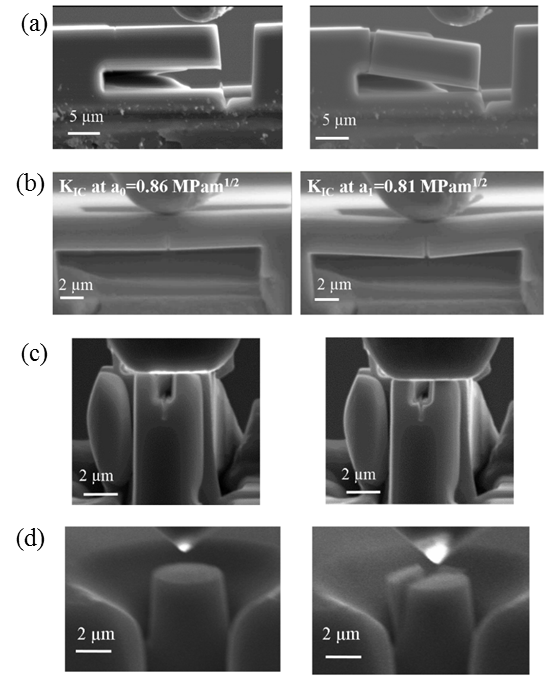 Fig Caption: Four micro-scale geometries chosen for the study (a) single cantilever bending (b) clamped beam bending (c) double cantilever bending and (d) pillar splitting