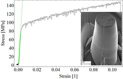 Stress strain curve and scanning electron micrograph of a bi-crystalline sample after 10% total strain