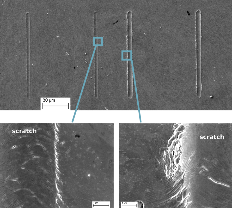 Wear tracks in a pearlitic steel: study of cementite lamellae and ferrite matrix deformation