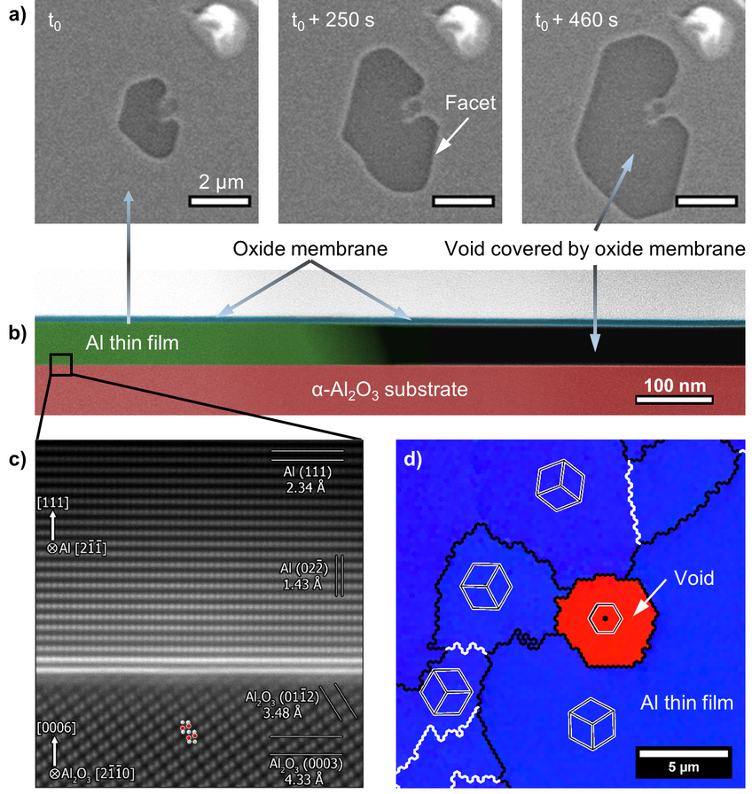 (a) Evolution of a faceted void while annealing in an ESEM in oxidizing atmosphere. (b) The cross-sectional color-coded HAADF STEM image reveals a continuous alumina membrane (bright blue) covering both, the void (black) and the film (green). (c) Atomic resolved STEM micrograph of a region adjacent to the Al|void interface (overlay: Al red, O white). (d) EBSD out-of-plane orientation map of a {111} textured Al film (blue) next to a void (red) with twin boundaries in white and further grain/phase boundaries in black.
(a) Evolution of a faceted void while annealing in an ESEM in oxidizing atmosphere. (b) The cross-sectional color-coded HAADF STEM image reveals a continuous alumina membrane (bright blue) covering both, the void (black) and the film (green). (c) Atomic resolved STEM micrograph of a region adjacent to the Al|void interface (overlay: Al red, O white). (d) EBSD out-of-plane orientation map of a {111} textured Al film (blue) next to a void (red) with twin boundaries in white and further grain/phase boundaries in black.