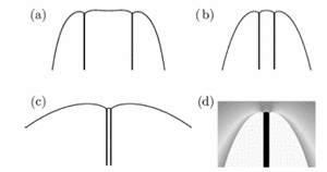Fig. 1: Tip of two-phase fingers during eutectic solidification, computed with Green's function methods and phase field models. Fig. 1: Tip of two-phase fingers during eutectic solidification, computed with Green's function methods and phase field models.