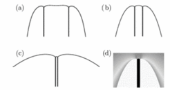 Fig. 1: Tip of two-phase fingers during eutectic solidification, computed with Green's function methods and phase field models.