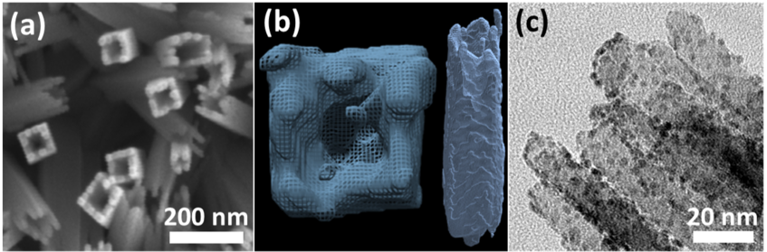 (a) TiO2 nanowire after core etching, (b) 3D reconstruction of hollow TiO2 nanowire, and (c) metal nanoparticles grown on hollow TiO2 nanowires.
(a) TiO2 nanowire after core etching, (b) 3D reconstruction of hollow TiO2 nanowire, and (c) metal nanoparticles grown on hollow TiO2 nanowires.