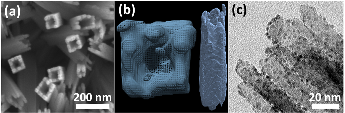 (a) TiO2 nanowire after core etching, (b) 3D reconstruction of hollow TiO2 nanowire, and (c) metal nanoparticles grown on hollow TiO2 nanowires.
