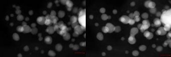 Overview of a Pt nanoparticles system in STEM Dark-Field mode, respectively, before and after accelerated degradation test. Overview of a Pt nanoparticles system in STEM Dark-Field mode, respectively, before and after accelerated degradation test.