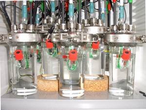 Modified bench-top bioreactors with three-electrode setup for corrosion measurements. Modified bench-top bioreactors with three-electrode setup for corrosion measurements.