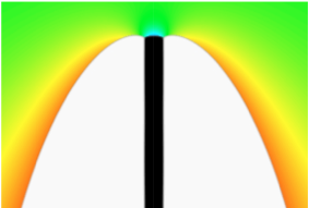 Fig. 2: Steady-state pattern of the two-phase finger in eutectic alloys from a phase-field calculation.