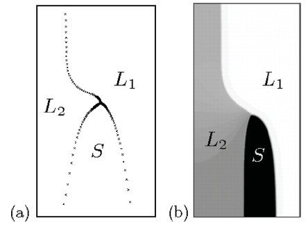 Fig. 1: Steady-state pattern during monotectic solidification, obtained with (a) boundary-integral equations and (b) a phase-field simulation. Fig. 1: Steady-state pattern during monotectic solidification, obtained with (a) boundary-integral equations and (b) a phase-field simulation.