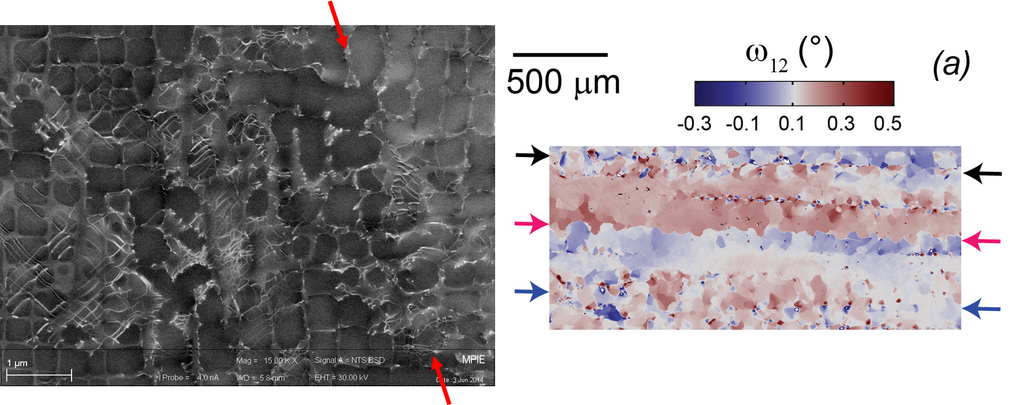 Left: Dislocations close to an interdendritic interface (marked by arrows) as observed by ECCI. Right: Very small lattice rotations between different dendrites as observed by XR-EBSD Left: Dislocations close to an interdendritic interface (marked by arrows) as observed by ECCI. Right: Very small lattice rotations between different dendrites as observed by XR-EBSD