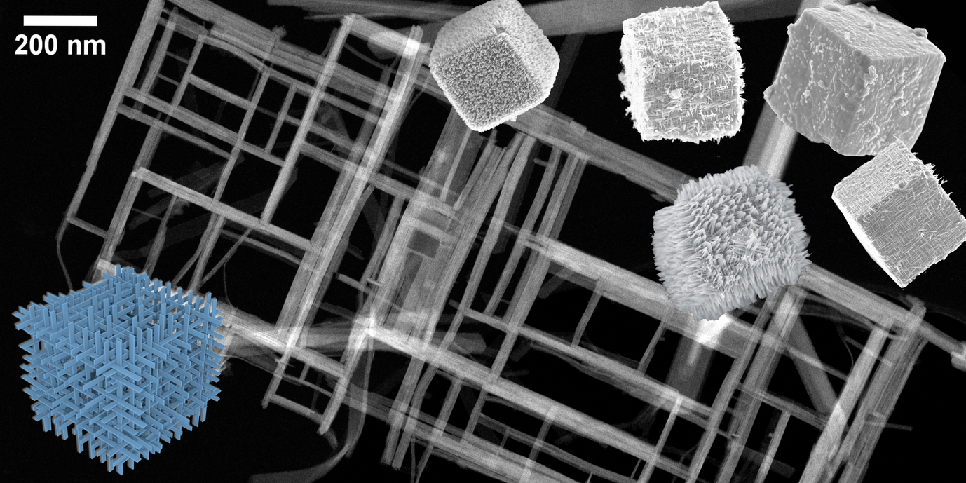 The schematic shows the structure of one Nb3O7(OH) cube. In addition a scanning TEM image of a fragment of the nanowire network is displayed, surrounded by SEM images of different superstructure morphologies.