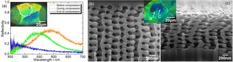 Fig. 1. a) Spectral shift of a photonic crystal domain in a scale of the weevil Entimus imperials during compression from the natural state b) to the state of maximum compaction c). Fig. 1. a) Spectral shift of a photonic crystal domain in a scale of the weevil Entimus imperials during compression from the natural state b) to the state of maximum compaction c).