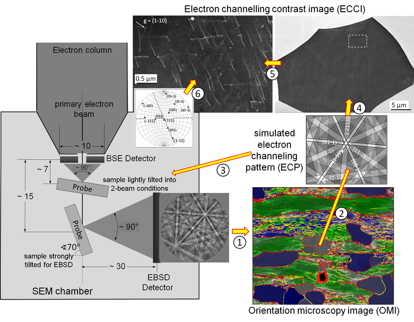 Schematics of cECCI by combination of EBSD and ECCI (see text for details) Schematics of cECCI by combination of EBSD and ECCI (see text for details)