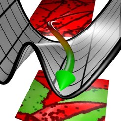 Logo of the group showing the intimate coupling between experiment and theory: The red fields show EBSD images of a material before and after phase transformation. The black/grey surface shows the energy dependence of a stable and unstable phase.