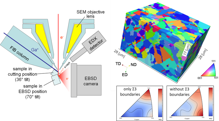 Left: geometrical set-up for 3D-ORM measurements using serial sectioning with a focussed ion beam instrument. Right: 3D ORM of a severely deformed and recrystallized Cu-Zr alloy. Colours correspond to the inverse pole figure position of the sample normal direction. Bottom: Inverse pole figures of the grain boundary normal vector distributions for Σ3-misoriented grains (twins) and for all other grain-pairs. Left: geometrical set-up for 3D-ORM measurements using serial sectioning with a focussed ion beam instrument. Right: 3D ORM of a severely deformed and recrystallized Cu-Zr alloy. Colours correspond to the inverse pole figure position of the sample normal direction. Bottom: Inverse pole figures of the grain boundary normal vector distributions for Σ3-misoriented grains (twins) and for all other grain-pairs.