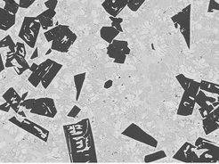 An example for High Modulus Steels: Microstructure of an in-situ formed hyper-eutectic Fe - TiB2 composite