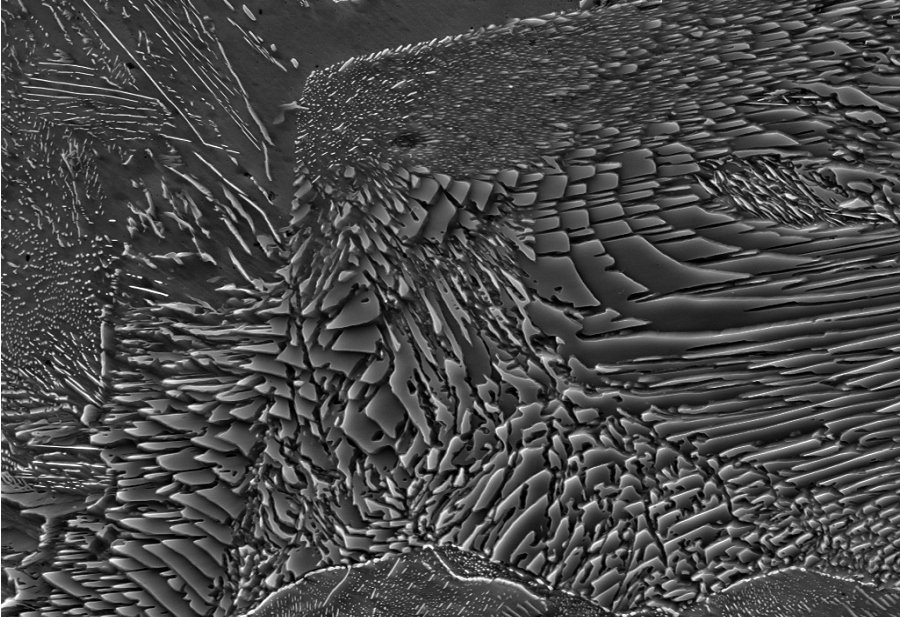 Carbides formed in a tempered martensitic steel