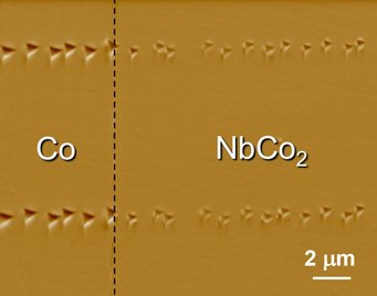 Figure caption: AFM image showing nanoindents on a Co-NbCo2 diffusion couple Figure caption: AFM image showing nanoindents on a Co-NbCo2 diffusion couple